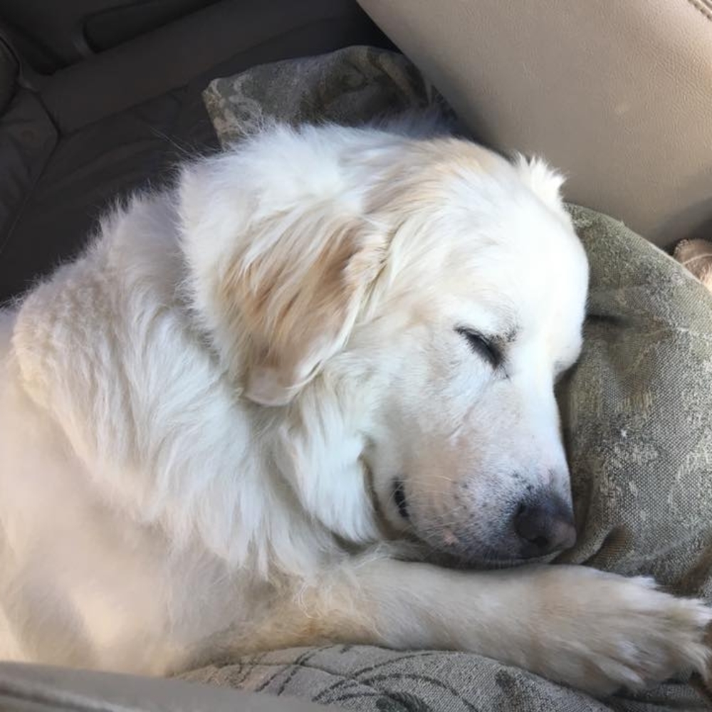 Meet your Posher, Kathy